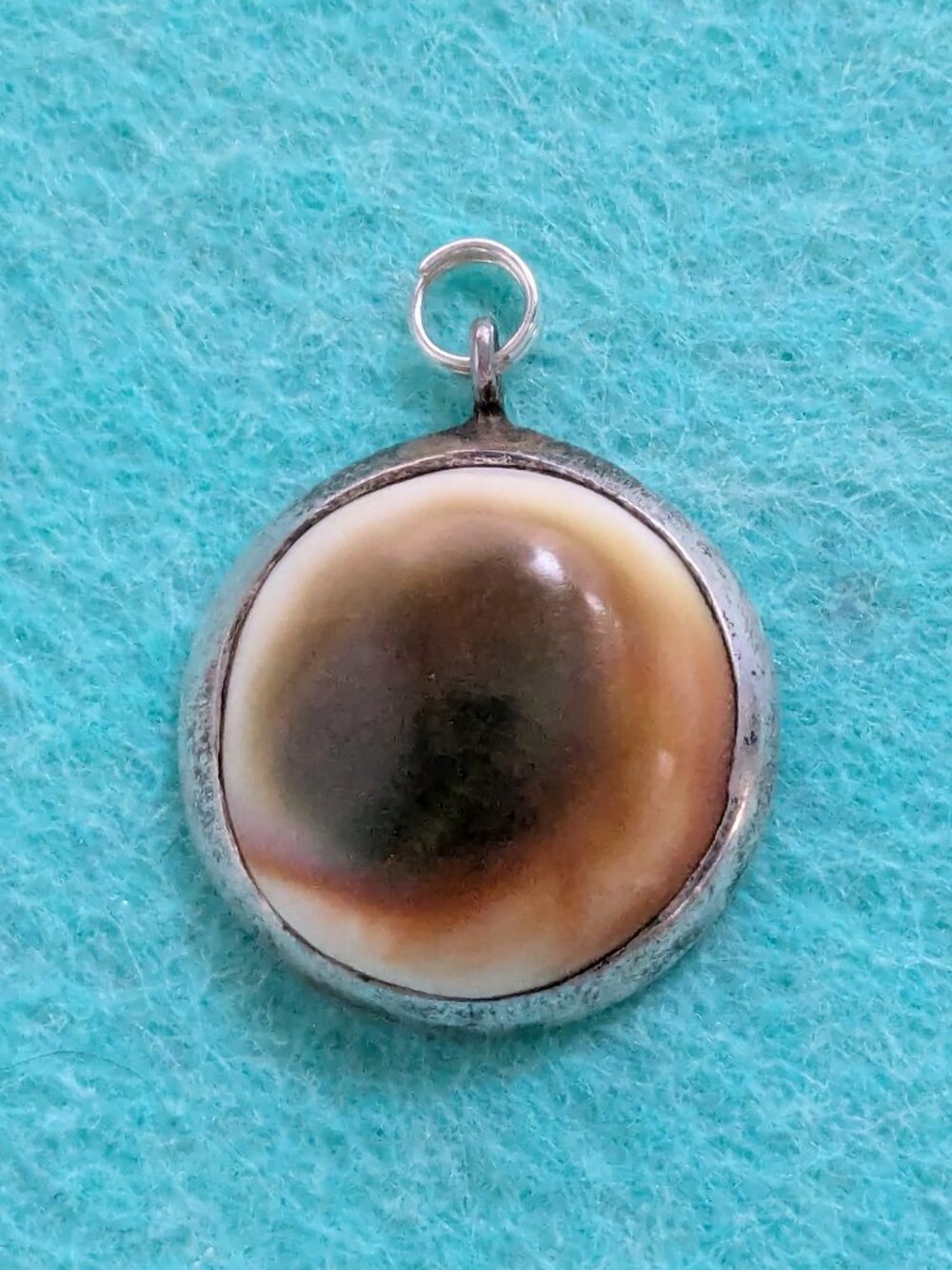 Shiva's Eye Sea Snail 925 Sterling Silver Pendant